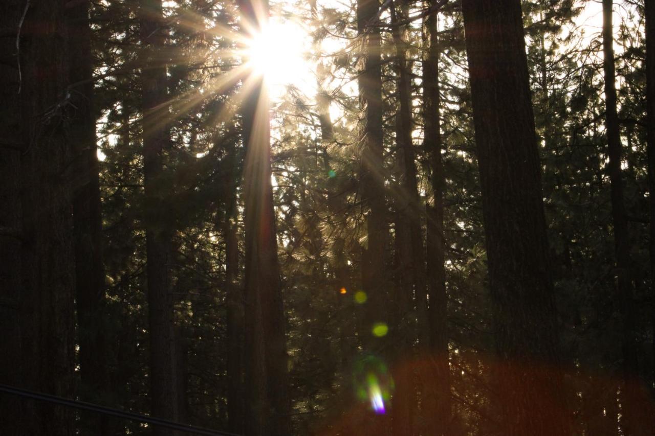 The Alder Inn South Lake Tahoe Esterno foto